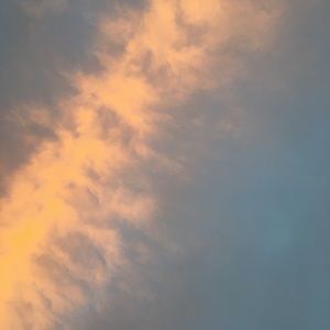 Meet your Posher, Charlotte